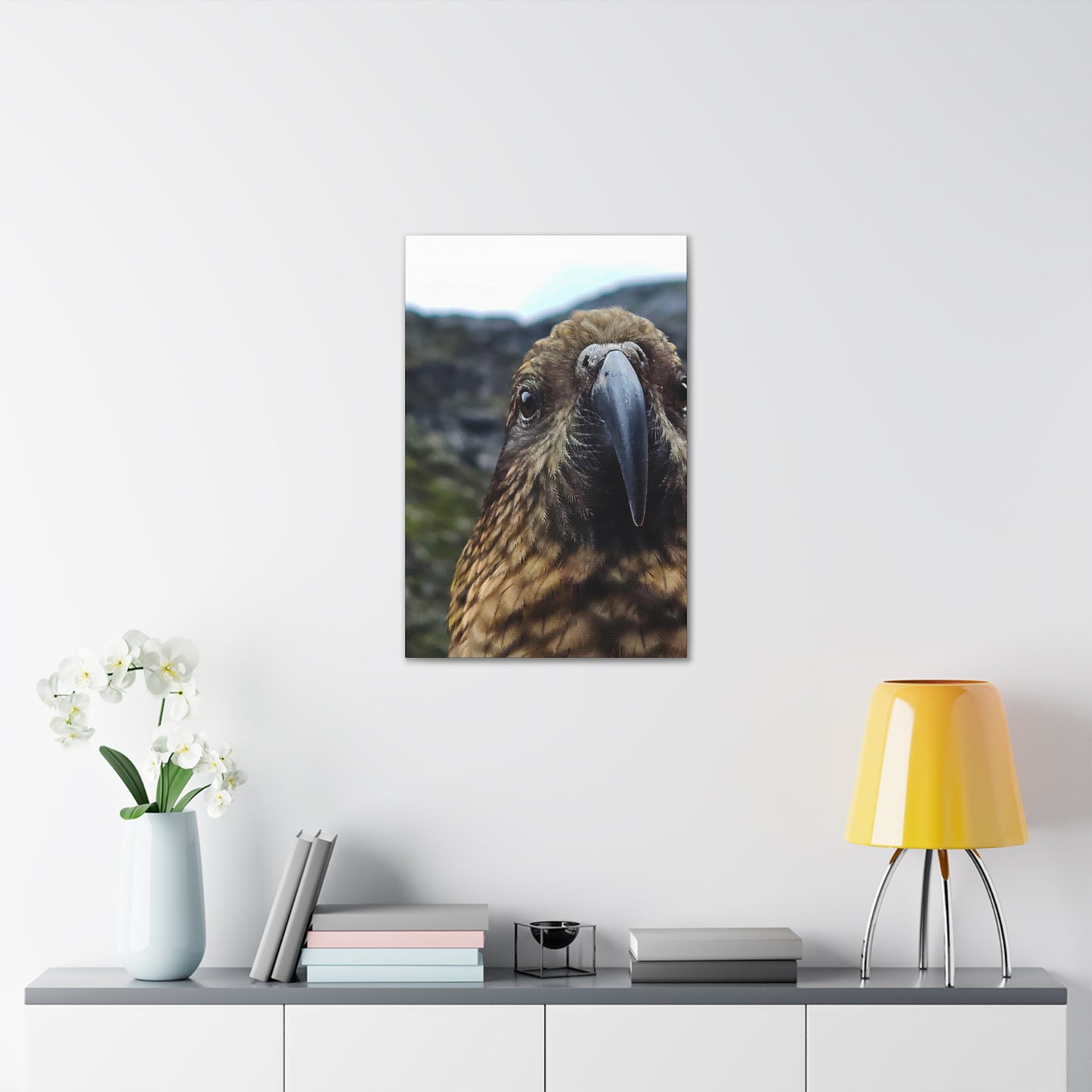 Gaze of the Kea - Canvas Gallery Wraps