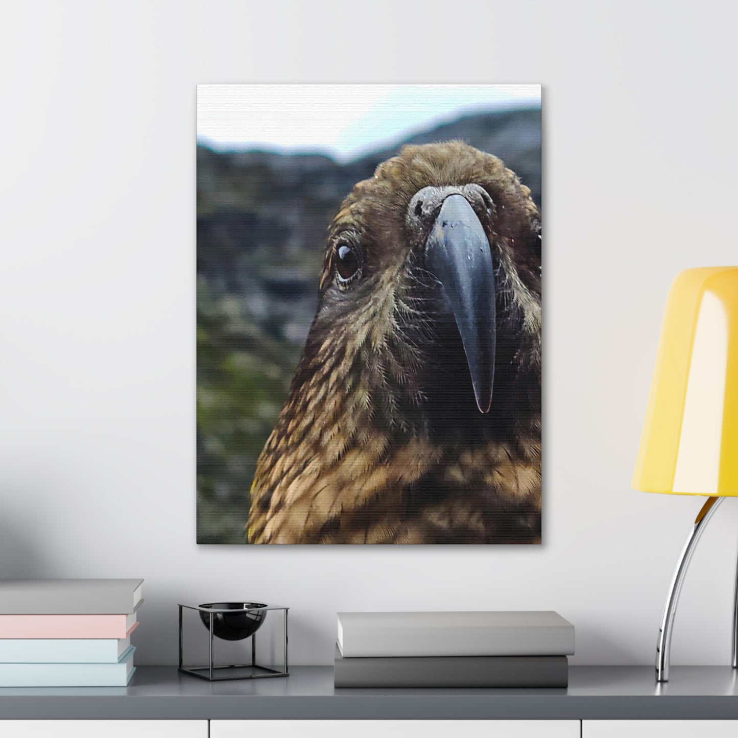 Gaze of the Kea - Canvas Gallery Wraps