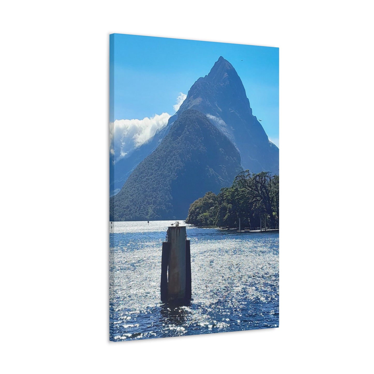 Mitre Peak Sentinel - Canvas Gallery Wraps