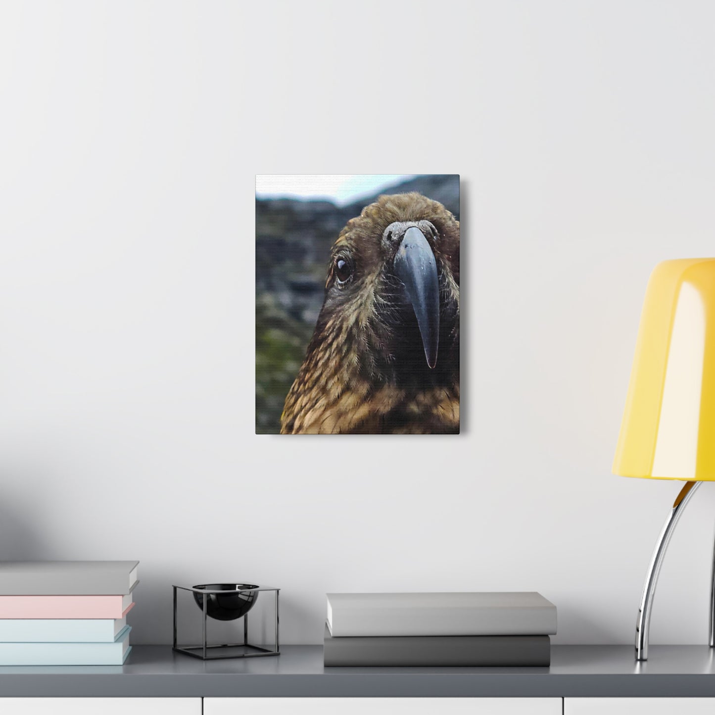 Gaze of the Kea - Canvas Gallery Wraps