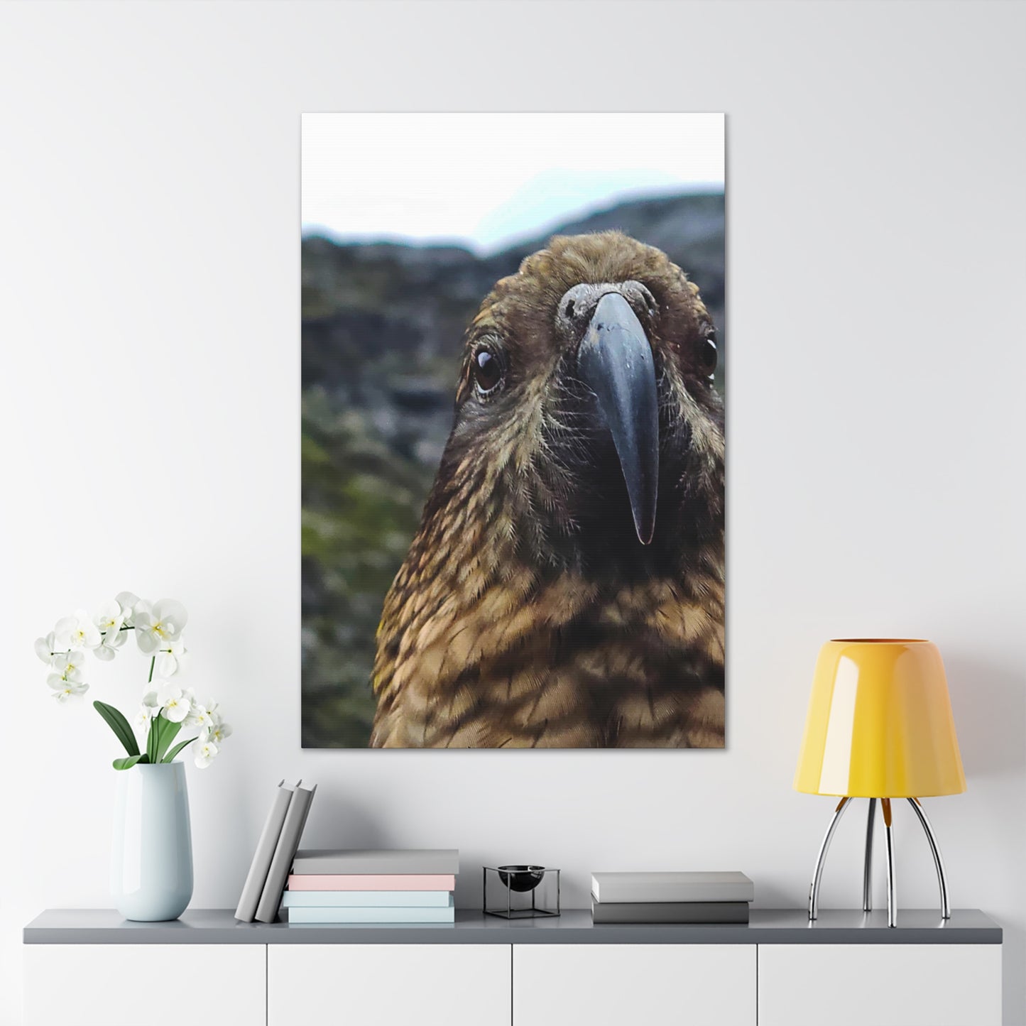 Gaze of the Kea - Canvas Gallery Wraps