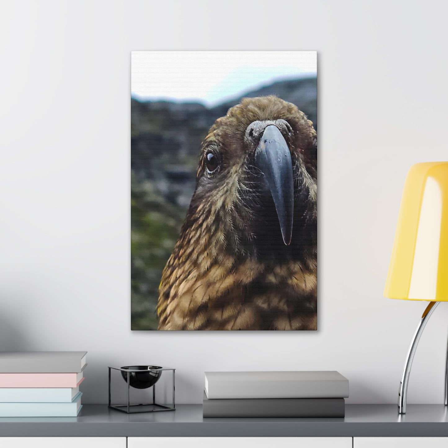 Gaze of the Kea - Canvas Gallery Wraps