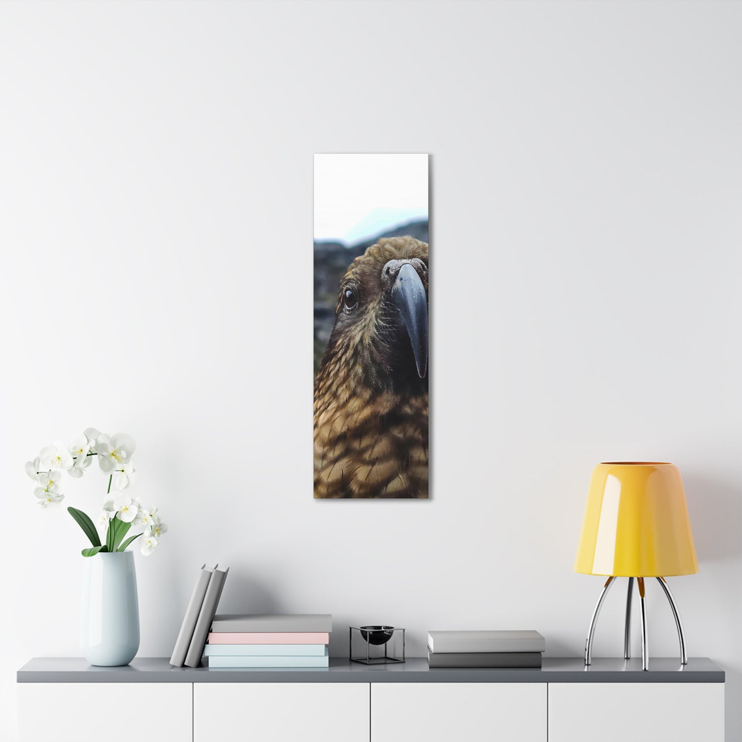 Gaze of the Kea - Canvas Gallery Wraps