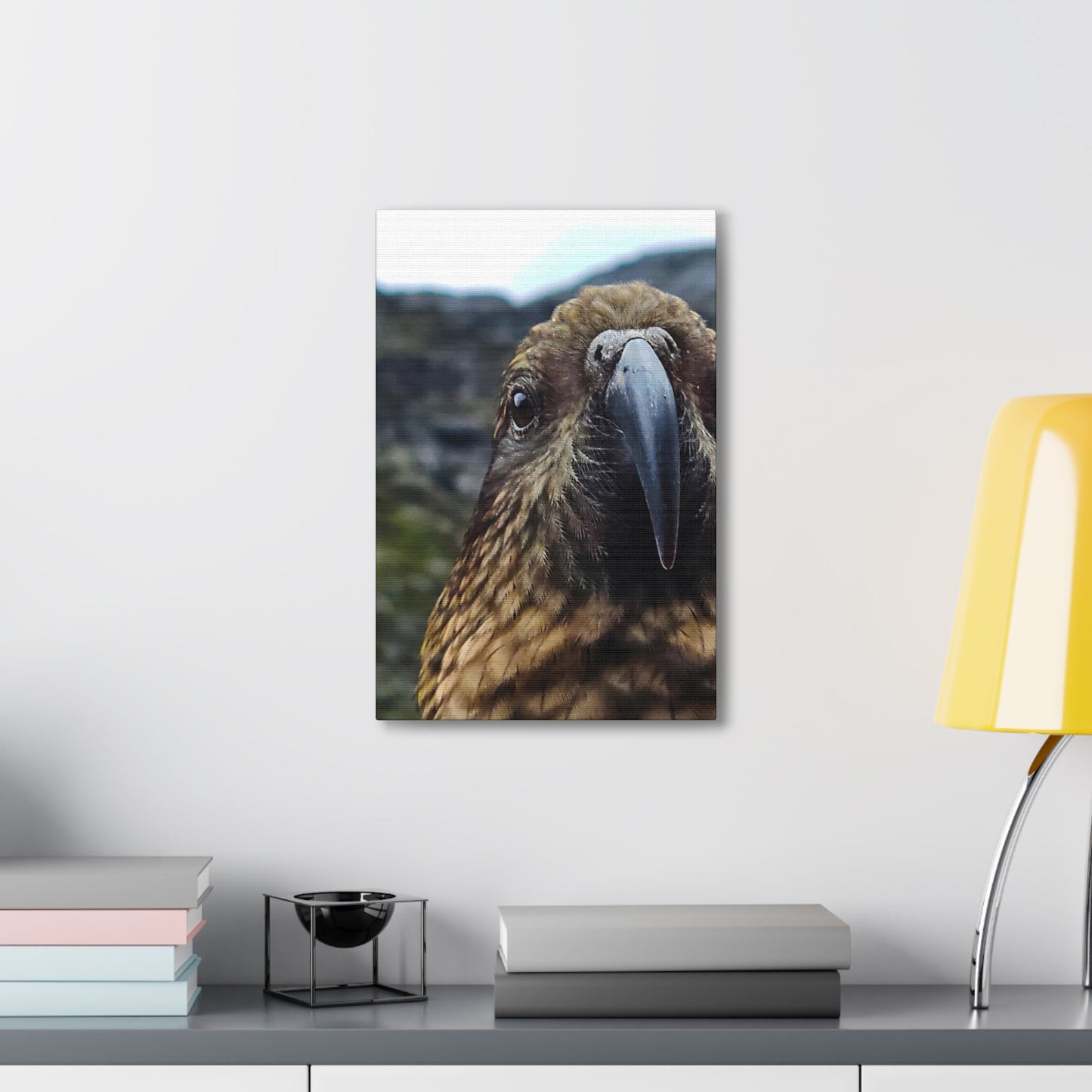 Gaze of the Kea - Canvas Gallery Wraps