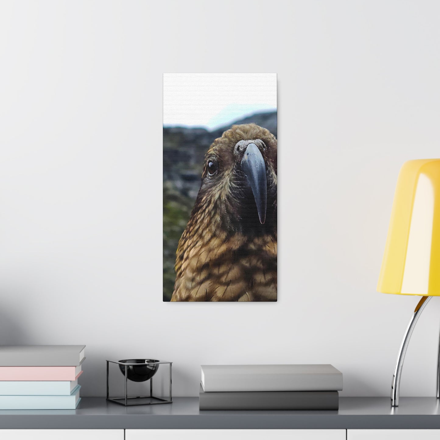 Gaze of the Kea - Canvas Gallery Wraps